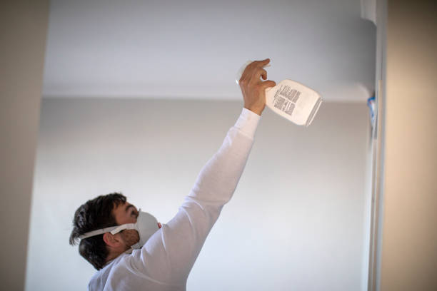 Best Mold Remediation  in Hickory, NC