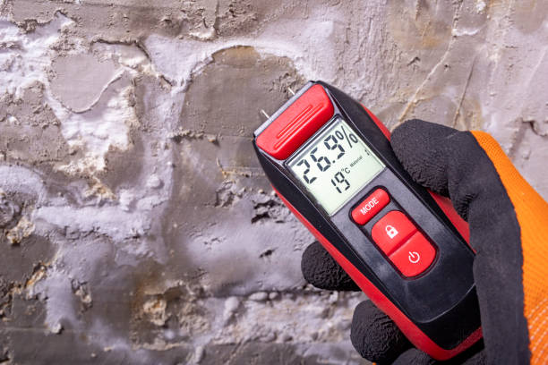Best Office Mold Removal Services  in Hickory, NC