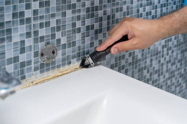 Best Mold Testing  in Hickory, NC